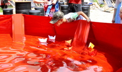 (link otworzy duże zdjęcie)