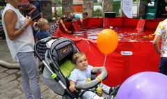 (link otworzy duże zdjęcie)