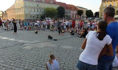 (link otworzy duże zdjęcie)