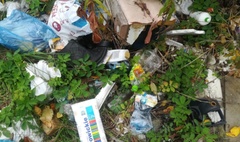 Gniezno sprzątało swój kawałek Ziemi! (link otworzy duże zdjęcie)