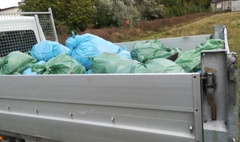 Gniezno sprzątało swój kawałek Ziemi! (link otworzy duże zdjęcie)