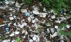 Gniezno sprzątało swój kawałek Ziemi! (link otworzy duże zdjęcie)