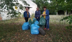 Gniezno sprzątało swój kawałek Ziemi! (link otworzy duże zdjęcie)