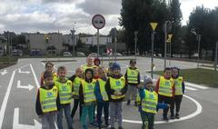 (link otworzy duże zdjęcie)