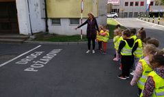 (link otworzy duże zdjęcie)