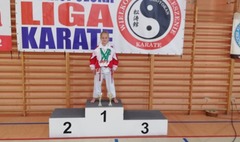 (link otworzy duże zdjęcie)