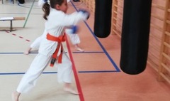 (link otworzy duże zdjęcie)