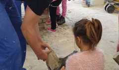 (link otworzy duże zdjęcie)