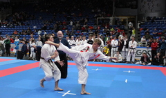 (link otworzy duże zdjęcie)