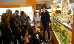 (link otworzy duże zdjęcie)