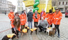 (link otworzy duże zdjęcie)