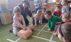 (link otworzy duże zdjęcie)