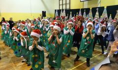 (link otworzy duże zdjęcie)