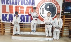 (link otworzy duże zdjęcie)