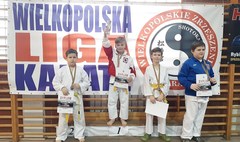 (link otworzy duże zdjęcie)