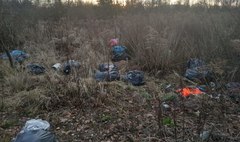 (link otworzy duże zdjęcie)