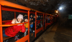 (link otworzy duże zdjęcie)