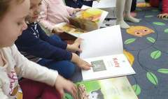 (link otworzy duże zdjęcie)