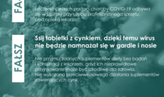 (link otworzy duże zdjęcie)