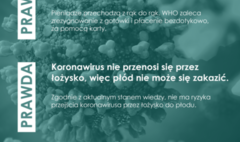 (link otworzy duże zdjęcie)