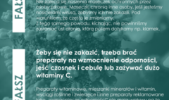 (link otworzy duże zdjęcie)