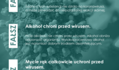 (link otworzy duże zdjęcie)