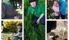 (link otworzy duże zdjęcie)