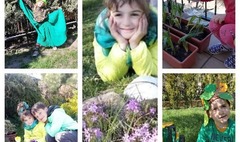 (link otworzy duże zdjęcie)