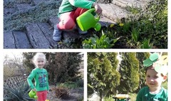 (link otworzy duże zdjęcie)