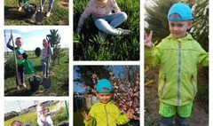 (link otworzy duże zdjęcie)