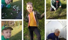 (link otworzy duże zdjęcie)