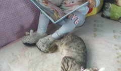 (link otworzy duże zdjęcie)