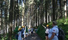 (link otworzy duże zdjęcie)