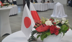 (link otworzy duże zdjęcie)