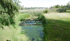 (link otworzy duże zdjęcie)