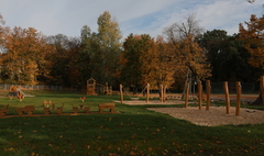 (link otworzy duże zdjęcie)