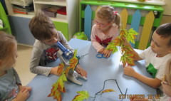 (link otworzy duże zdjęcie)