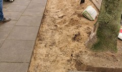 Zdjęcie odbrukowywania mis drzew