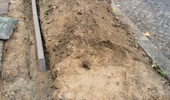 Zdjęcie odbrukowywania mis drzew (link otworzy duże zdjęcie)