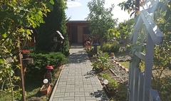 Nagrodzono najpiękniejsze ogrody działkowe