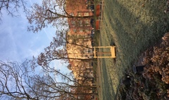 Nowe nasadzenia drzew (link otworzy duże zdjęcie)