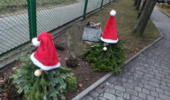 Przyznano nagrody dla zwycięzców XX edycji Konkursu Ekolider (link otworzy duże zdjęcie)