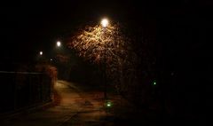 Oświetlenie jeziora Winiary (link otworzy duże zdjęcie)