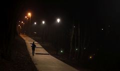 Oświetlenie jeziora Winiary (link otworzy duże zdjęcie)