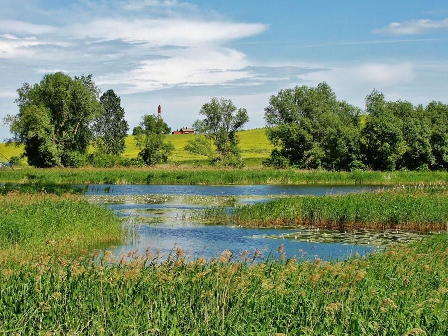 Piękna wieś