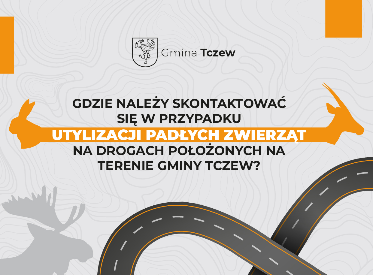 Tu powinien być opis.