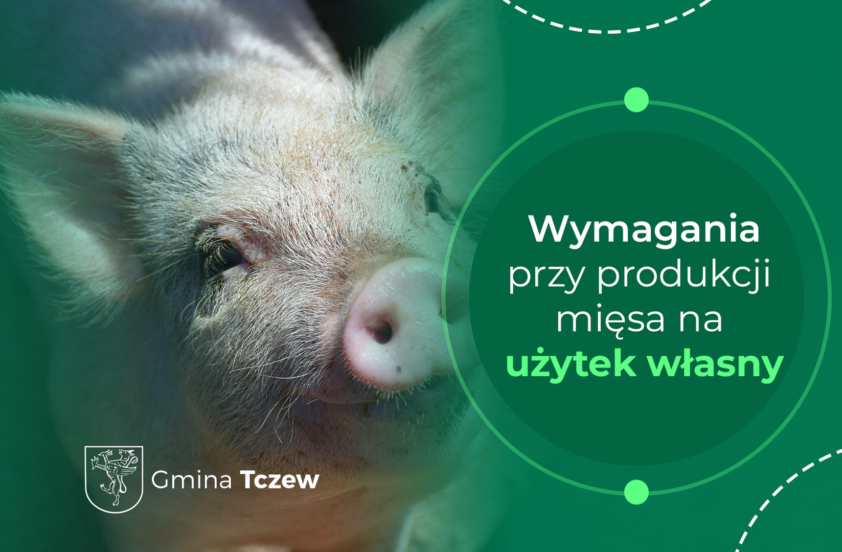 Tu powinien być opis.