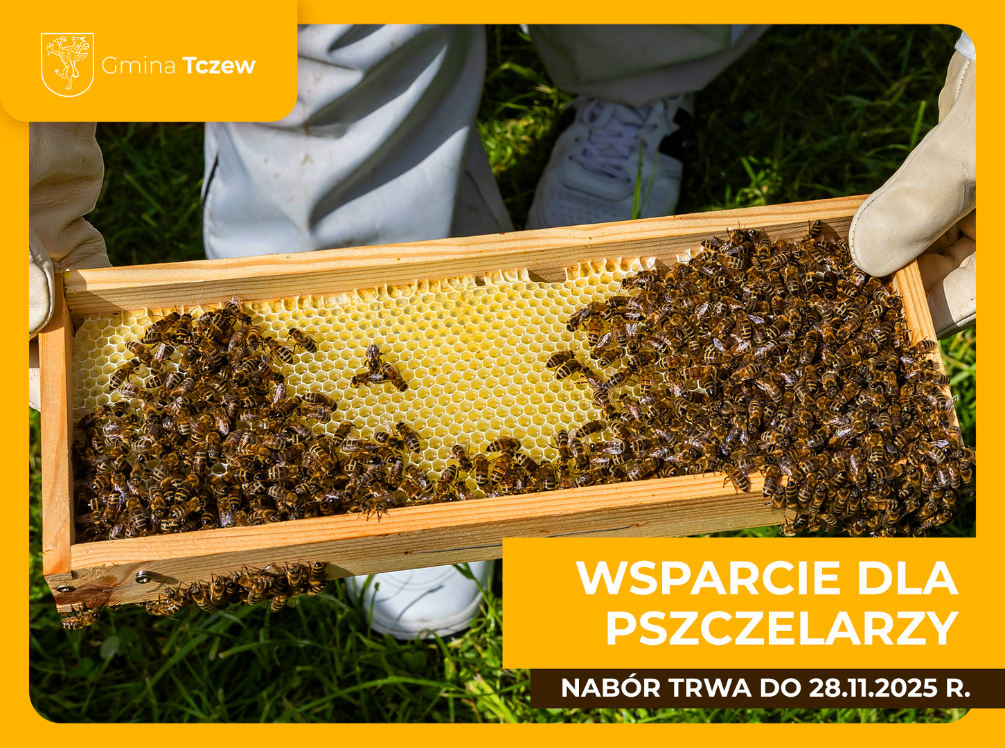 Tu powinien być opis.