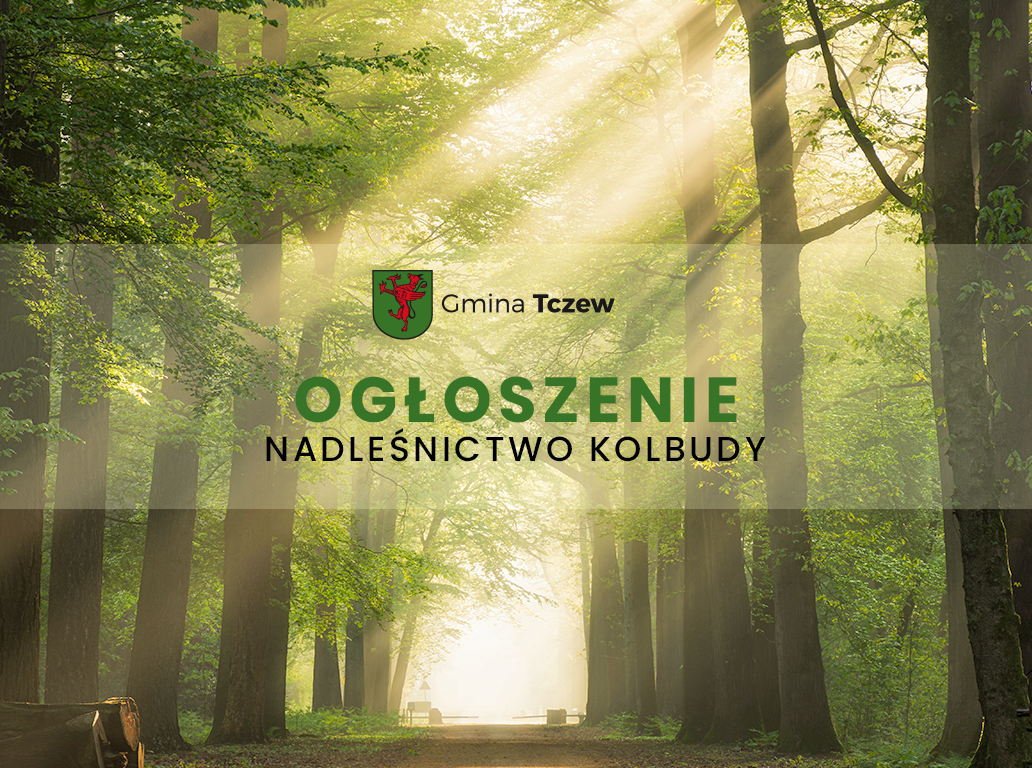 Tu powinien być opis.