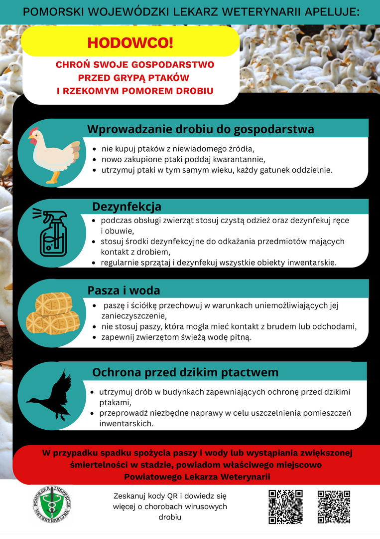 ulotkainformacyjnadlahodowcowdrobiuprzyzagrodowegohpaiind.jpg [2481x3509]